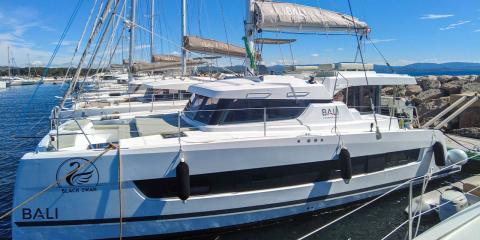 Bali Catspace - Black Swan