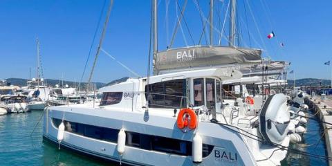 Bali Catsmart - Hope