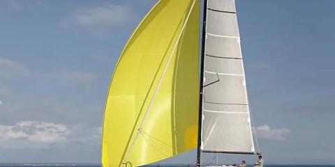 Pogo 36 - LITTLE WING