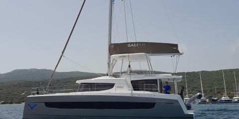 Bali 4.8 - Physeter