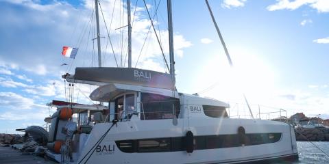 Bali Catsmart - Asclepios