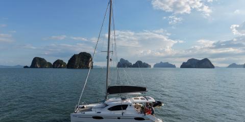 Leopard 39 - Moana
